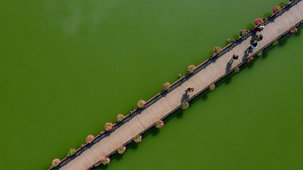 Cầu đi bộ vắt ngang hồ Thiên Nga