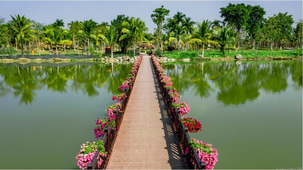 Cây cầu này được trồng rất nhiều hoa tím, nổi bật trên làn nước xanh ngắt ở công viên hồ Thiên Nga đẹp nhất Ecopark.