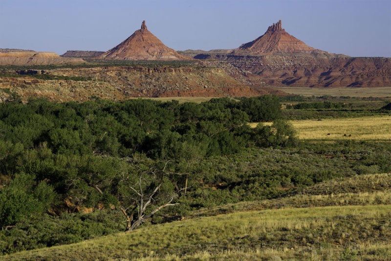 Đồi Tai Gấu ở bang Utah, Mỹ