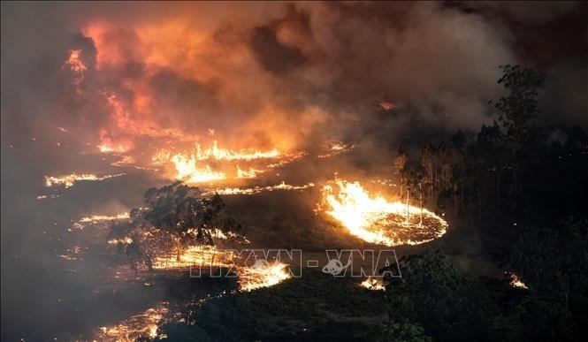 IBM tích cực hỗ trợ chính phủ Úc trong thảm họa cháy rừng