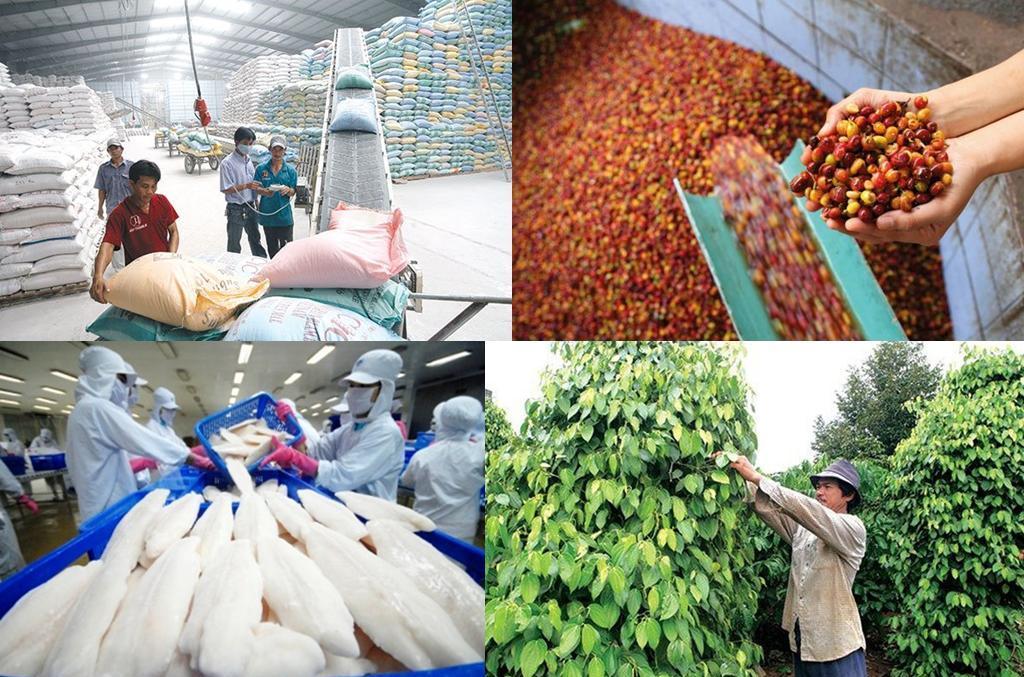 Thủy sản là nhóm hàng xuất khẩu truyền thống của Việt Nam sang Trung Quốc