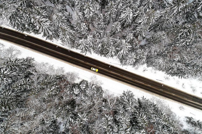 Chiếc ô tô di chuyển qua khu rừng ở Troitsk, Moscow, Nga.