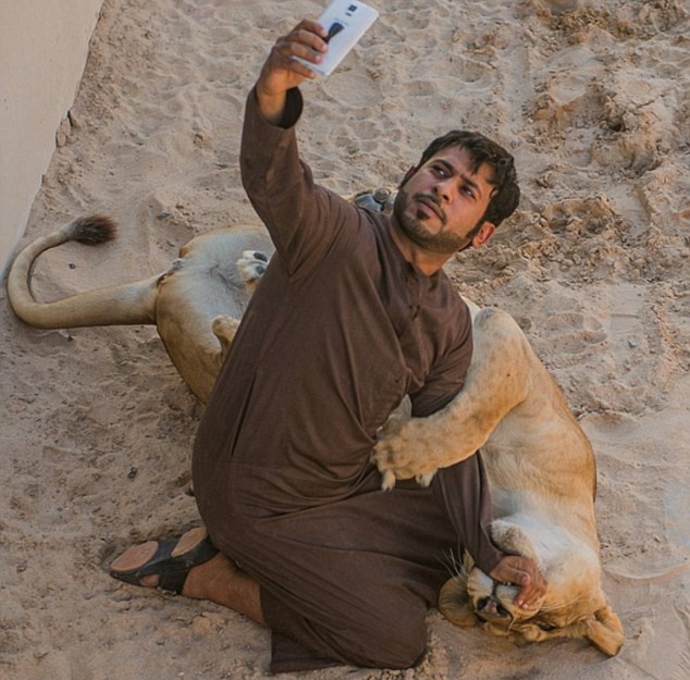 Humaid AlBuQaish là một trong nhiều cái tên của giới nhà giàu Dubai nổi tiếng trên mạng xã hội có bộ sưu tập những con thú hoang dã quý hiếm. Trang cá nhân của người đàn ông này không thiếu những tấm ảnh động vật hoang dã như hổ, báo, sư tử, tinh tinh được nuôi làm thú cưng.