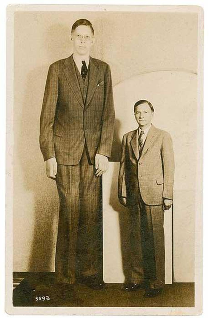 Nguyên do là bởi người cao nhất trong lịch sử được ghi nhận là Robert Wadlow (1918-1940) (trong ảnh). Người này cao 2,47m và qua đời khi 22 tuổi.