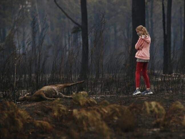 Những đám cháy đã biến khu vực miền Đông Nam Australia thành một vùng đất chết và tình hình có thể sẽ càng tồi tệ hơn trong những tháng mùa Hè tới. Trong ảnh là một bãi biển ở miền Nam trước và trong khi bị cháy rừng lan đến.