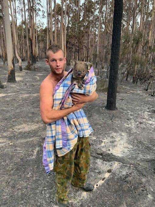 Một người đàn ông mặc chiếc quần rằn ri của quân đội Australia vừa cứu được một chú gấu túi đã thoát chết sau cơn hỏa hoạn.