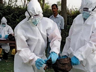 Nguy cơ dịch cúm H7N9 xảy ra ở Việt Nam rất lớn