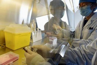 Đã có thuốc điều trị cúm gia cầm H7N9