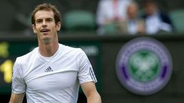 Andy Murray dễ dàng vào vòng 4 Wimbledon