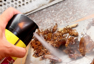 Dùng thuốc diệt côn trùng sao cho không hại người?