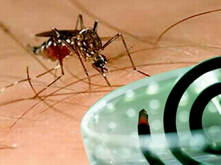 Dùng nhang diệt muỗi: Nguy hiểm cho sức khỏe