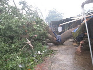 Hà Nội ủng hộ 7 tỷ đồng cho 6 tỉnh bị bão lụt