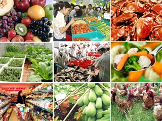Quản lý An toàn vệ sinh thực phẩm:: “Hà Nội không có Sở nào yếu kém!”