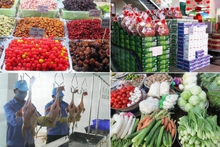 Dịp Tết Giáp Ngọ 2014:: Công khai các vi phạm an toàn thực phẩm trên cả nước