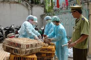 Khẩn cấp phòng chống bệnh sởi, cúm A H7N9 và H5N1