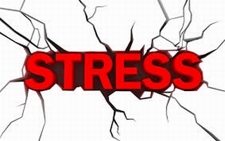 Những thông tin bất ngờ về stress
