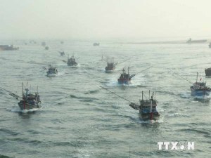 Đà Nẵng đưa nhiều tàu công suất lớn vươn khơi, bám biển