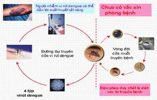 Cách nhận biết và phòng chống sốt xuất huyết