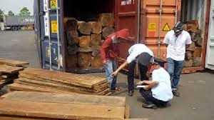 Khởi tố vụ buôn lậu gỗ lớn nhất Bình Phước