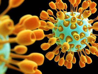 Tìm ra chất kháng coronavirus - bệnh lý về đường hô hấp