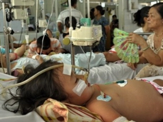 10 dịch bệnh trên Thế giới và Việt Nam tuần qua
