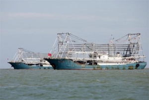 Vạch trần âm mưu tung tàu cá lấn chiếm Biển Đông của Trung Quốc
