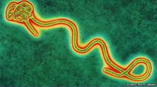 WHO tuyên bố tình trạng khẩn cấp toàn cầu về dịch Ebola