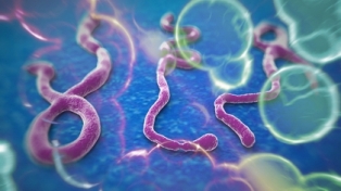 Các biện pháp phòng, chống bệnh do vi rút Ebola của Bộ Công an