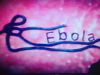 Một phụ nữ nghi nhiễm Ebola đột tử trên máy bay