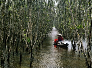 Việt Nam đã quan tâm đặc biệt đến biến đổi khí hậu
