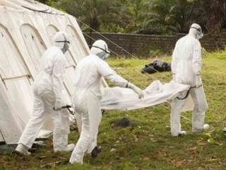 Gần 130 nhân viên y tế đã tử vong vì Ebola