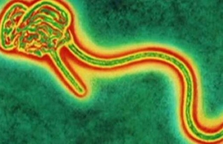 Dịch Ebola &quot;sát hại&quot; người bệnh khủng khiếp