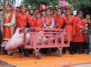 Tiếp tục kêu gọi chấm dứt Lễ hội Chém lợn