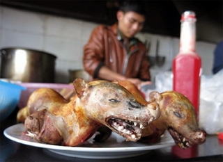 Chùa Hương: Thịt thú không treo móc mà bày trên đĩa