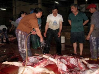 Hà Nội: Siết chặt việc giết mổ gia súc, gia cầm