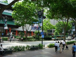 Singapore: Chặt 3 cây bị phạt 6.000 USD