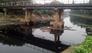 Báo động sông Nhuệ đang bị ô nhiễm nặng