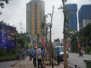 Trắng đêm chỉ đạo trồng cây đường Nguyễn Chí Thanh