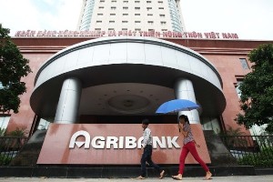 Cho vay sai quy định, Agribank mất gần 1000 tỉ đồng