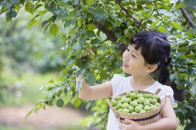 Cùng bé du lịch và tìm hiểu thực phẩm có từ đâu?