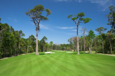 Khám phá sân golf mang vẻ khoáng đạt của khu rừng nhiệt đới