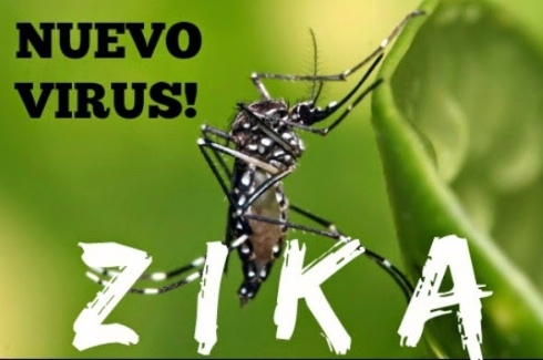 Virus zika cực kỳ nguy hiểm! 