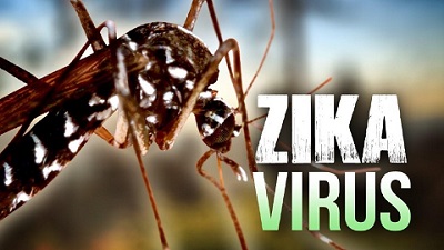 Bộ Y tế khẳng định chưa phát hiện vi rút Zika tại Việt Nam