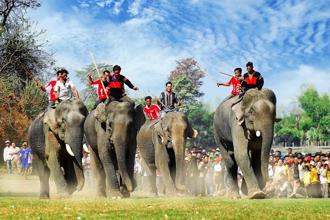 Tháng 3 lên buôn Đôn dự hội đua voi