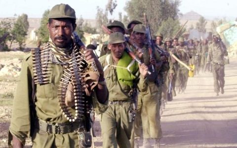 Ethiopia tham gia rất sâu vào tiến trình hòa bình ở Nam Sudan vì lo ngại cuộc nội chiến ở nước này có thể gây nguy hiểm đến những khu vực biên giới của nước họ.