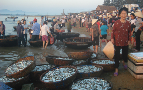 Cá tại hai chợ ở Hà Tĩnh có hàm lượng kim loại nặng &quot;an toàn&quot;