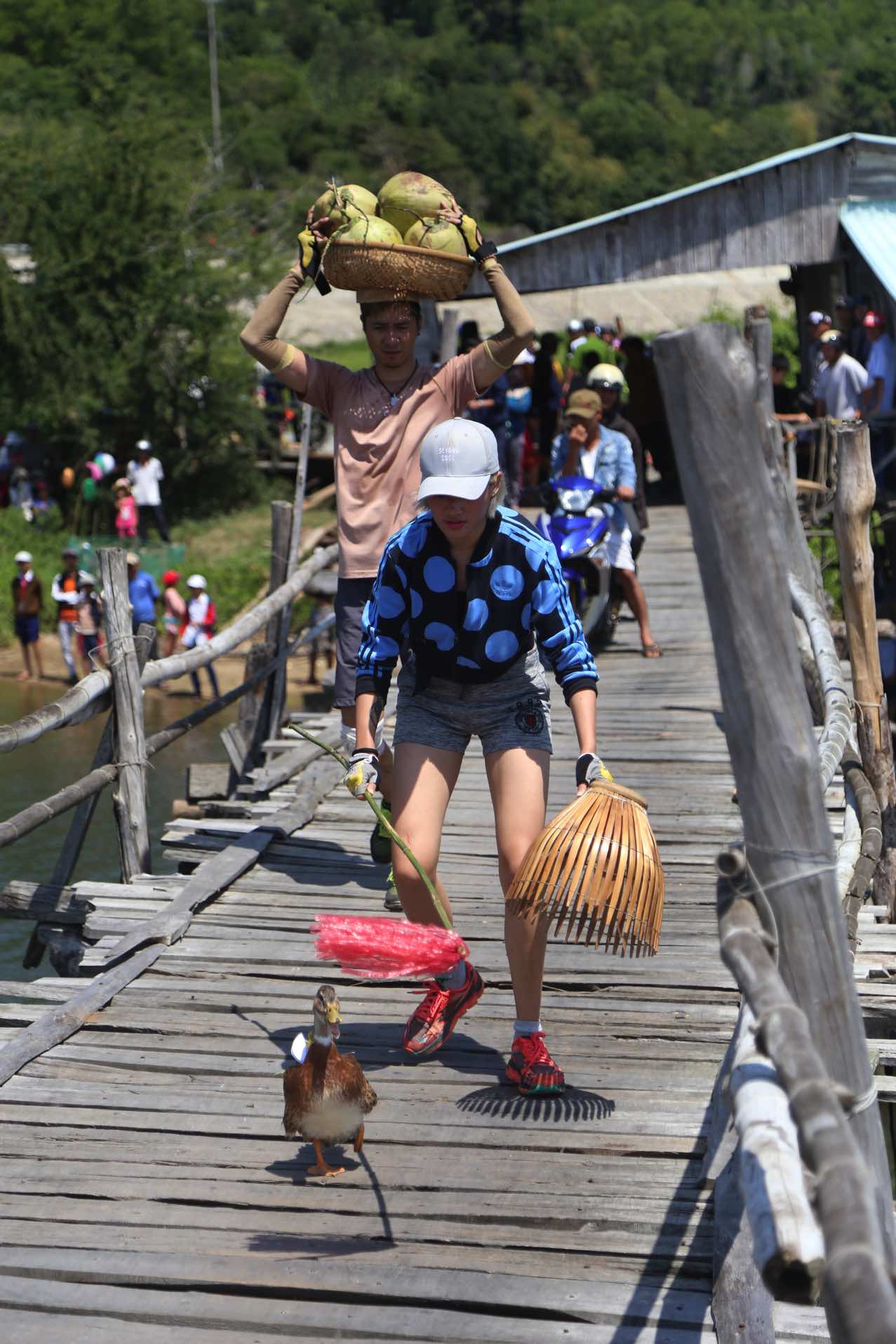 Đội dừa lùa vịt qua cầu