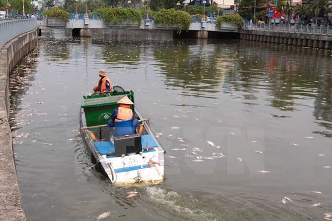 Công ty Môi trường đô thị Thành phố đã huy động nhiều phương tiện, lực lượng để vớt cá chết.
