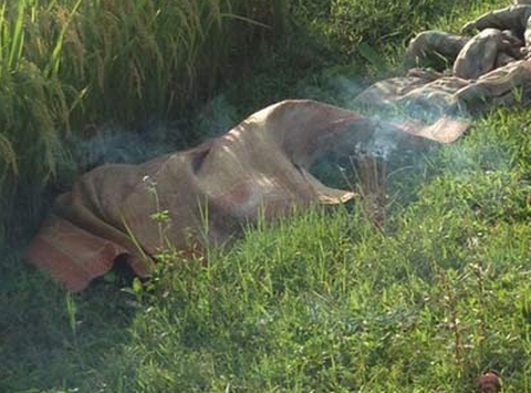 Hà Nội: Nam thanh niên tử vong dưới ruộng lúa với nhiều vết thương