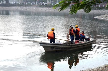 Sáng 9/6 công nhân vẫn đang tiến hành vớt cá chết tại hồ Hoàng Cầu. Ảnh: Người Lao Động